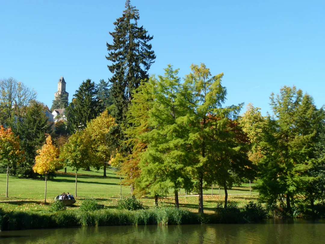 Grüne Parklandschaft im Taunus, ideal für barrierefreie Spaziergänge